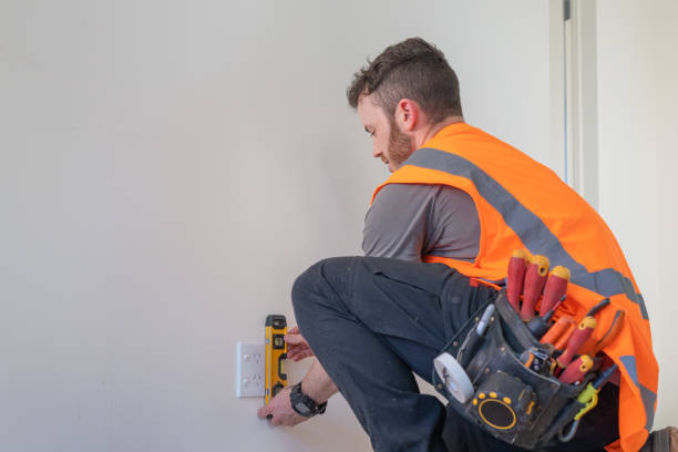 Best Electrician Near Me  in Clintondale, NY